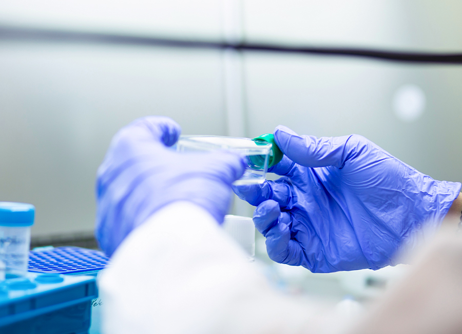 Gloved hands handling lab tube during cellular senescence test to evaluate aging cells and their impact on regeneration