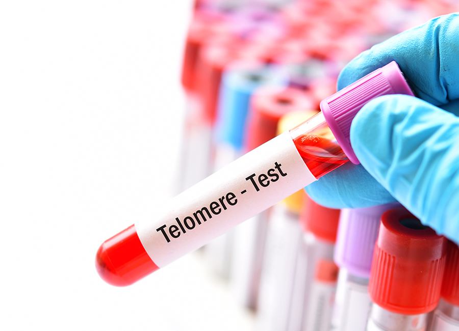 Gloved hand holding telomere test blood sample tube, used to assess cellular aging and disease risk through DNA analysis