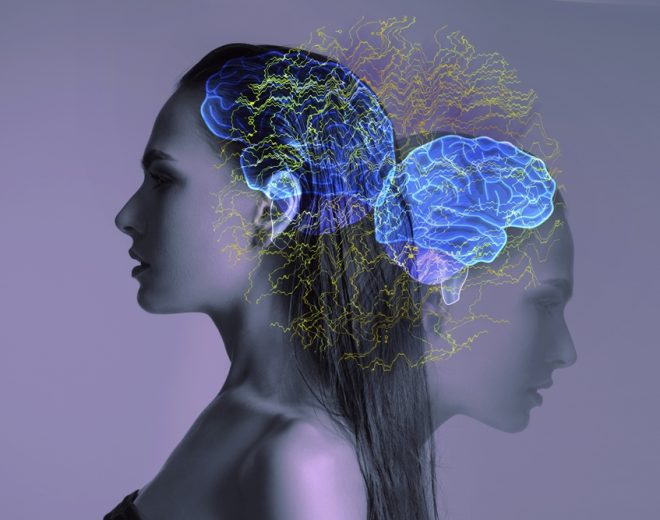 Profile of woman with highlighted brain illustrating stem cell therapy effects on neuroinflammation and cognitive health
